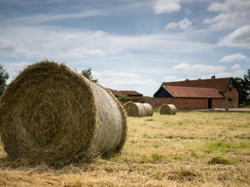 Bed and Breakfast Trustans Barn Darsham Экстерьер фото